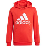 Detská mikina Essentials Big Logo Hoodie Jr GN4037 - Adidas 122cm