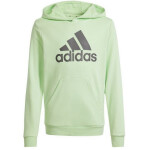 Mikina adidas Big Logo Hoodie Jr IS2591 cm