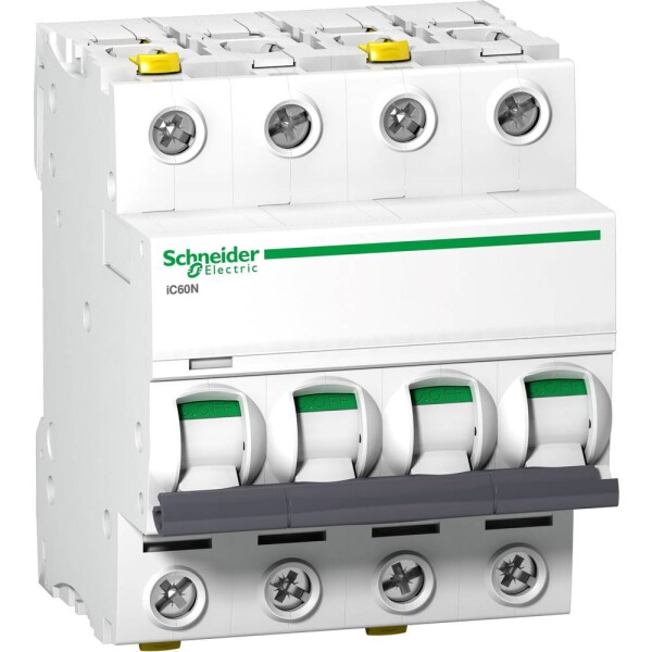 Schneider Electric A9F03425 A9F03425 elektrický istič 25 A 400 V; A9F03425