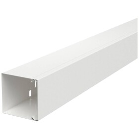 OBO Bettermann 6248694 káblová lišta držiak káblov (d x š x v) 2000 x 80 x 80 mm 1 ks biela; 6248694