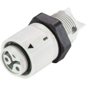 Wieland Electric RST16I3/2S B1 M02 GL 46.031.5054.0 guľatý faston, 1 ks; 46.031.5054.0