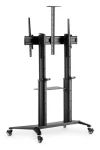 Digitus TV Cart čierny / Stojan na kolieskach pre TV / 70-120" / nosnosť 140 kg (DA-90452)