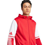 Mikina adidas Squadra 25 Hoody M JD2990 muži S