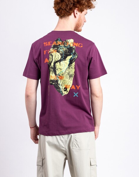 Montura Dream Mountain T-Shirt 14 VINACCIA L