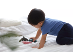 PlanToys PlanToys Kosatka