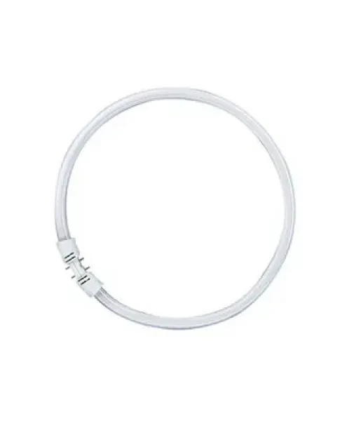 OSRAM LEDVANCE FC FS1 žiarivka kruhová / 55W / 6500 K (O0528564)