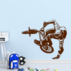 Veselá Stena Samolepka BMX Freestyle Farba: hnědá, Veľkosť: 100 x 87 cm