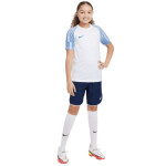 Tričko Nike Df Academy Jsy SS Jr DH8369 102 L