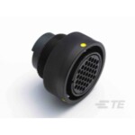 TE Connectivity TE AMP Signal Standard Y5015-000000010683 1 ks; Y5015-000000010683