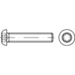 TOOLCRAFT 148224 šošovkové skrutky M4 8 mm T profil ocel glavanizované zinkom 500 ks; 148224