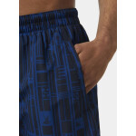 Helly Hansen Newport Trunk Shorts M 334296 607 XL