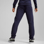 Puma Team Goal Casuals W 658604 06 Dámske nohavice S