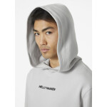Helly Hansen Core Graphic Sweat Hoodie M 53924 825 XL