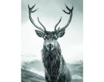 Obraz na plátne Jeleň 46x61 cm, čiernobiely%