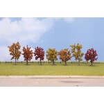 NOCH 25070 balíček so stromom jesenné stromy 80 do 100 mm jesenná 7 ks; 25070