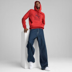 Puma Ess Logo Lab Hoodie FL M 684669 15 muži L
