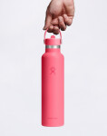 Hydro Flask Standard Flex Straw Cap (621 ml) Popstar Pink