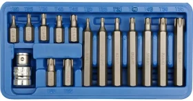 Vorel Sada bitov 15 ks CrV TORX / Sada bitov / T20-T55 / Dĺžky 30 a 75 mm / Plastový box (TO-66580)