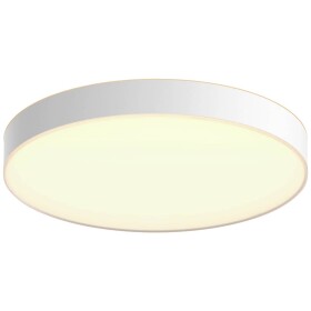 Philips Hue WA Enrave XL stropné LED svietidlo 1x48W biela / 6100lm / 2200-6500K / IP20 / ovládač (SKL000389269)