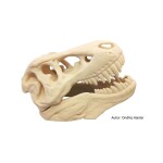 Filament-PM PLA tlačová struna béžová 1,75 mm 1 kg Filament PM