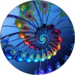Jedlý papier pavieho chvosta 19,5 cm - Pictu Hap - Pictu Hap