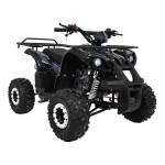 Mamido Detská benzínová štvorkolka RamiGO WILDPEAK 110CC čierna
