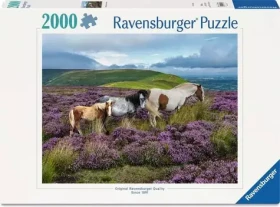 Ravensburger 120017516 Divoké kone 2000 dielikov