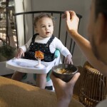 BABY EINSTEIN Podsedák na stoličku s 2 hračkami 2v1 Dine & Discover 6m+ do 23 kg