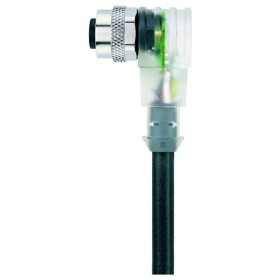 Escha AL-WWAK4P2-5/S370 pripojovací kábel pre senzory - aktory, 8045238, piny: 4, 5.0 m, 1 ks; 8045238