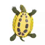 Safari Ltd. Safari Ltd. Figúrka - Korytnačka ozdobná