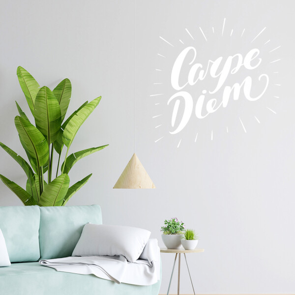 Veselá Stena Samolepka Carpe Diem (Užívaj dňa) Farba: biela, Veľkosť: 100 x 100 cm