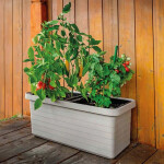 Plastia Samozavlažovací veľkoobjemový truhlík Berberis DUO taupe 80 cm