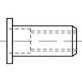 TOOLCRAFT TO-5380440 slepá nitovacie matice M4 nerezová ocel 500 ks; TO-5380440