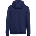 Entrada 22 Hoody Jr Adidas