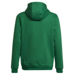 Entrada 22 Hoody Jr Adidas cm