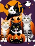 Norimpex Diamantové maľovanie Halloween Mačky a tekvica