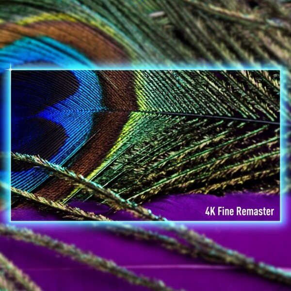 Panasonic TV SetPANASONIC55"4K/Smart3840x2160Wireless LANBluetoothGoogle TVTV-55W90AEG