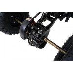 Mamido Detská benzínová štvorkolka RamiGO WILDPEAK 110CC čierna