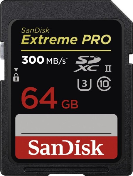 SanDisk Extreme PRO SDXC 64 GB Class 10 UHS-II/U3 (SDSDXDK-064G-GN4IN)