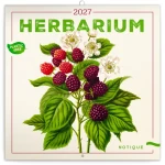 NOTIQUE Herbár 2027 / Poznámkový kalendár / 30 x 30 cm / Plastic Free