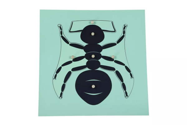 Moyo Montessori Moyo Montessori Puzzle - mravec