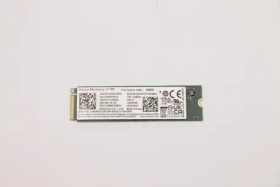 Lenovo SSD 256GB / SSD / M.2 2280 / PCIe 4.0 NVMe (5SS0W79512)