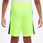 Šortky Nike CR7 Academy 23 M HF4346-702 XL