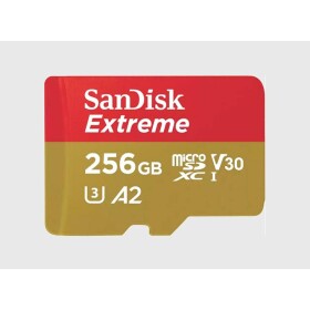 SanDisk microSDXC 256GB SDSQXAV-256G-GN6MA