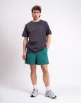 Patagonia M's Baggies Shorts - 5" '95 Oval Logo: Gem Green L