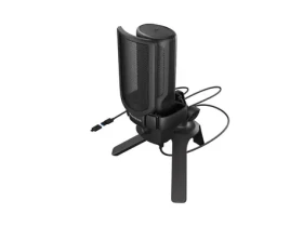 Genesis Radium 250 čierna / Streamovací mikrofón / USB Type-C / Kondenzátorový / Kardioidné / RGB podsvietenie (NGM-2352)