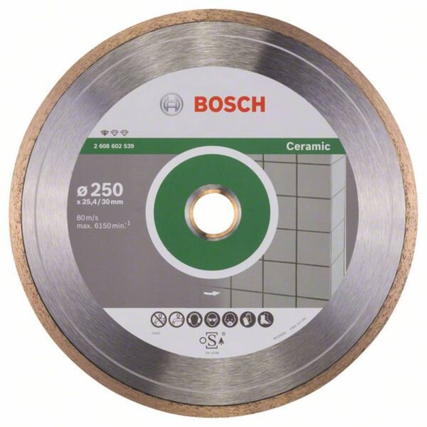 Bosch Accessories 2608602539 Bosch Power Tools diamantový rezný kotúč Priemer 250 mm 1 ks; 2608602539