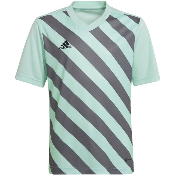 Entrada 22 Graphic Jersey Adidas cm