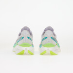 Tenisky Saucony Endorphin Pro 5 White/ Multi EUR 46.5