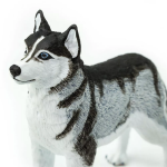 Safari Ltd. Safari Ltd. Figúrka - Sibírsky husky